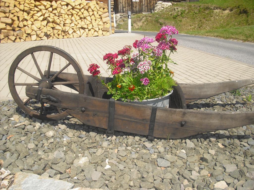 Privat SKI Erlebach Rokytnice nad Jizerou Exterior foto